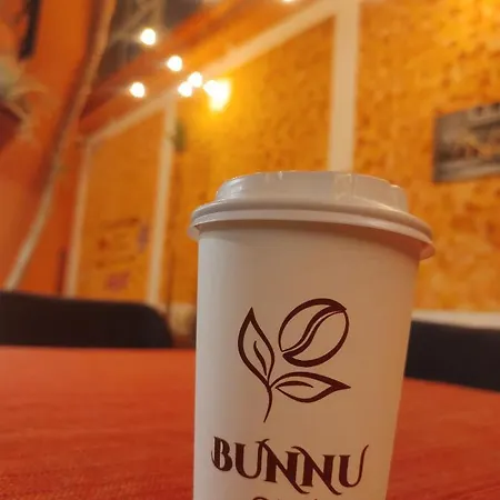 Eco Bunnu Inn