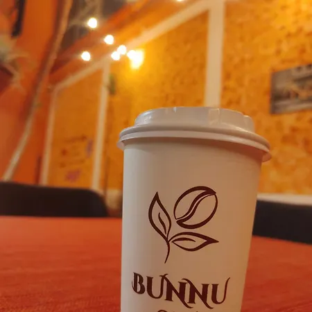 Eco Bunnu Inn
